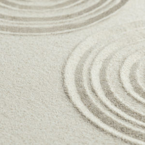 flat sand with concentric circles drawn in it like a zen garden.