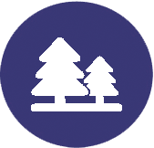 icon of pine trees