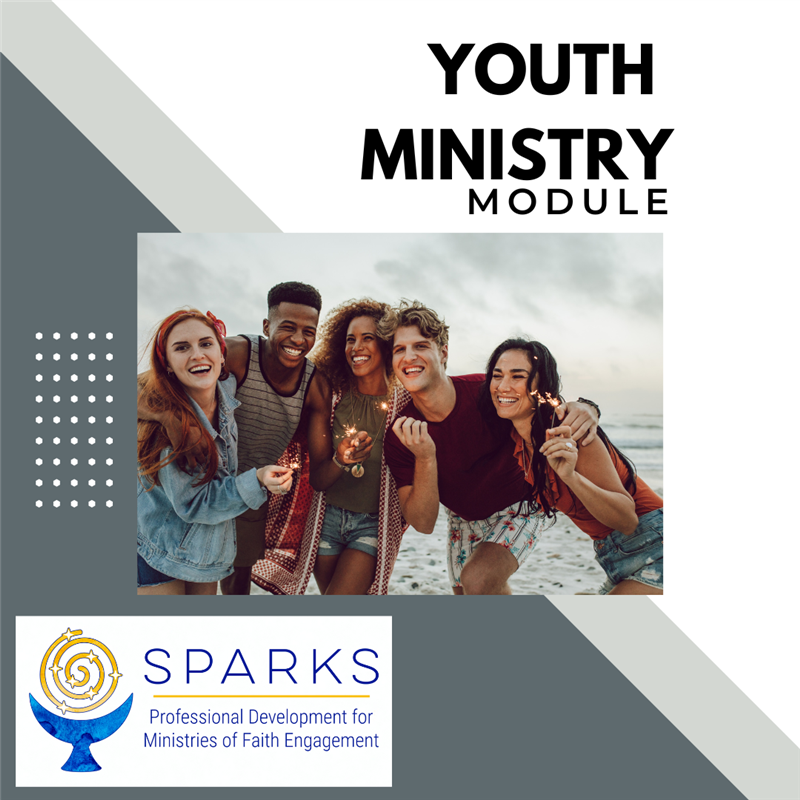 youth on a beach with sparklers. Reads Youth Ministry Module, Sparks logo in the corner.